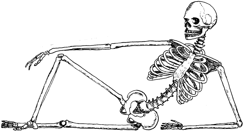 liggend skelet
